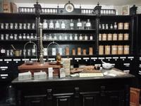 Im Heimatmuseum Traiskirchen