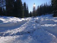 In den Wäldern liegt hoher Schnee