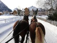 Mit dem Pferdeschlitten unterwegs