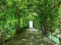 Schlosspark Schönbrunn