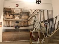 Spanische Hofreitschule (2)