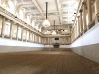 Spanische Hofreitschule (3)