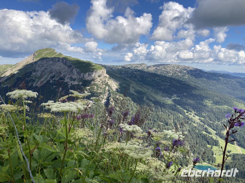 Blick zum Hohen Ifen vom Walmedingerhorn