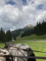 Blick zum Hohen Ifen