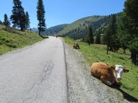 1 Radtour nach Schönfeld