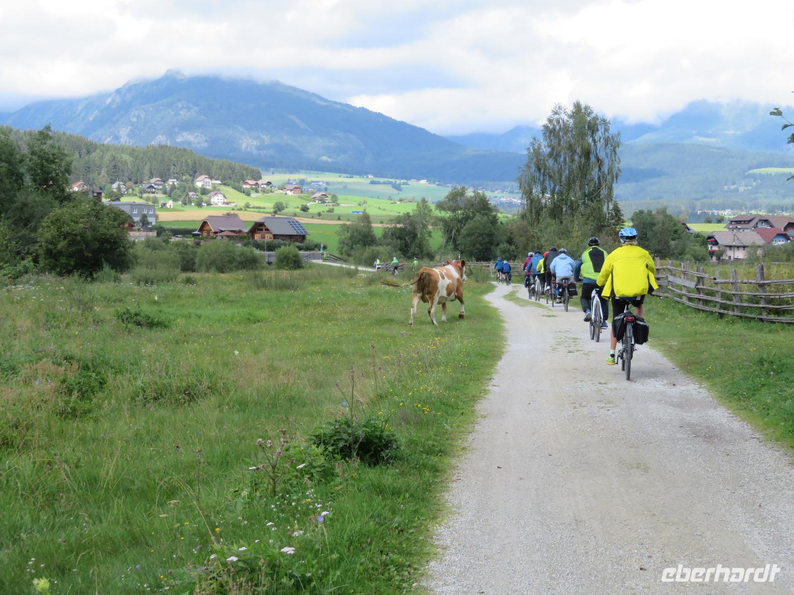 Radtour ins Riedlingtal- Rückweg