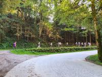 Wanderung Richtung Auffach