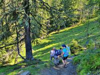 Weg zur Rosskopfhütte