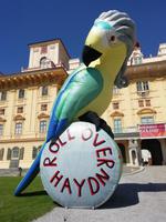 Vor dem Schloss Esterhazy