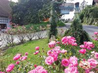 Obstbaubetrieb Wilhelm