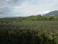 Fahrt durchs Apfelland