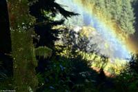 Krimmler Wasserfälle