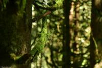 Krimmler Wasserfälle