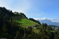 Kitzbühel - Hahnenkamm - Abfahrt 