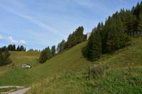 Kitzbühel - Hahnenkamm - Abfahrt 