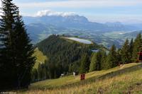 Kitzbühel - Hahnenkamm - Abfahrt 