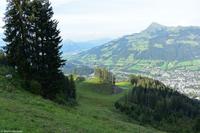 Kitzbühel - Hahnenkamm - Abfahrt 