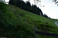 Kitzbühel - Hahnenkamm - Abfahrt 