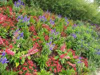 063_Überlingen Landesgartenschau