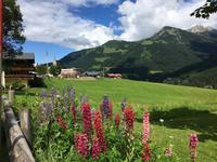 Blick nach Mittelberg, Kleinwalsertal