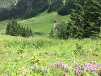 Blick zur Bergkäserei