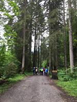 Wanderung ins Gemsteltal