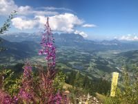Kitzbühel Hahnenkamm 