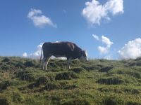 Kitzbühel Hahnenkamm 