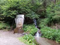 Groppensteinschlucht