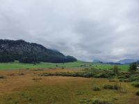 Moorgebiet Schwemm in Walchsee