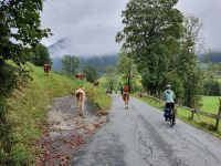 1. Radtour in Richtung St. Nikolaus Kapelle