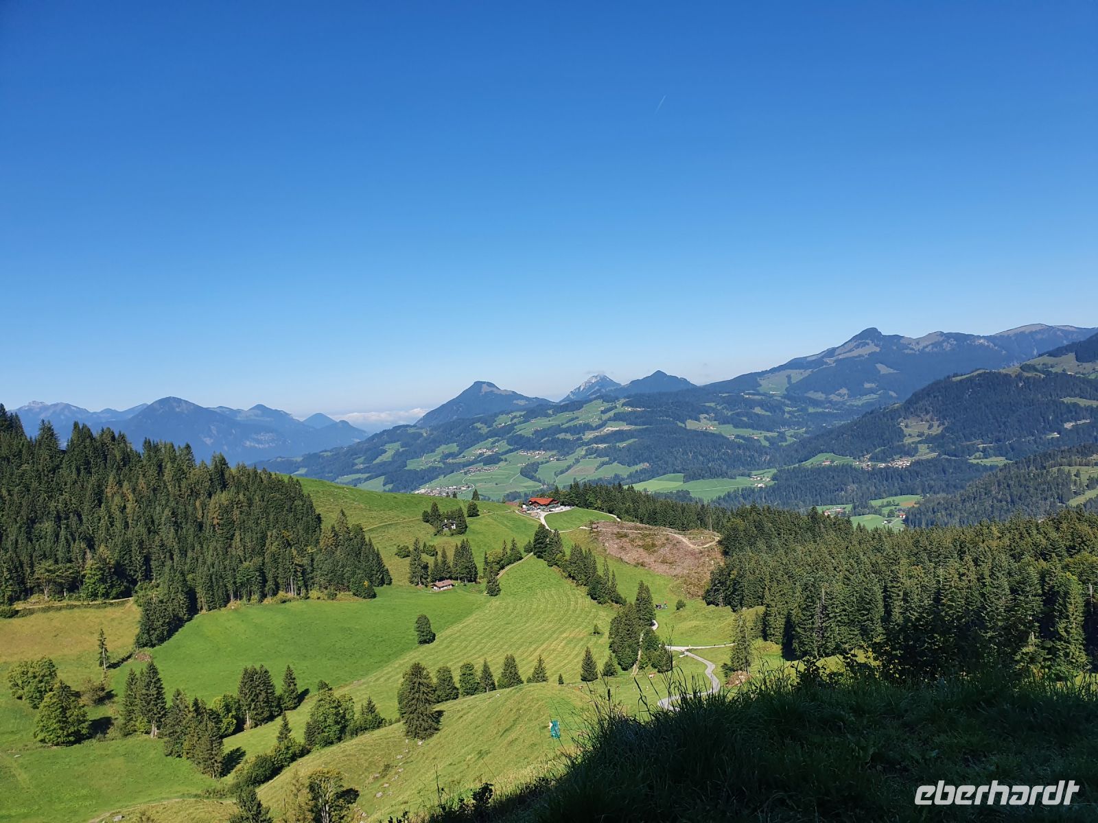 Aschinger Alm im Hintergrund