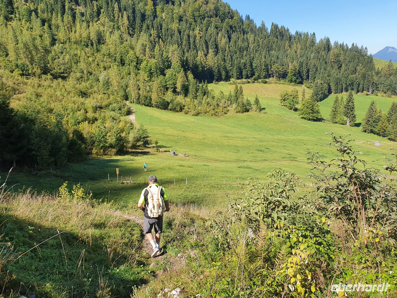 Wanderung zur Aschinger Alm