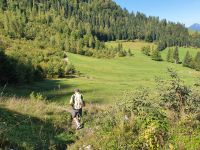 Wanderung zur Aschinger Alm