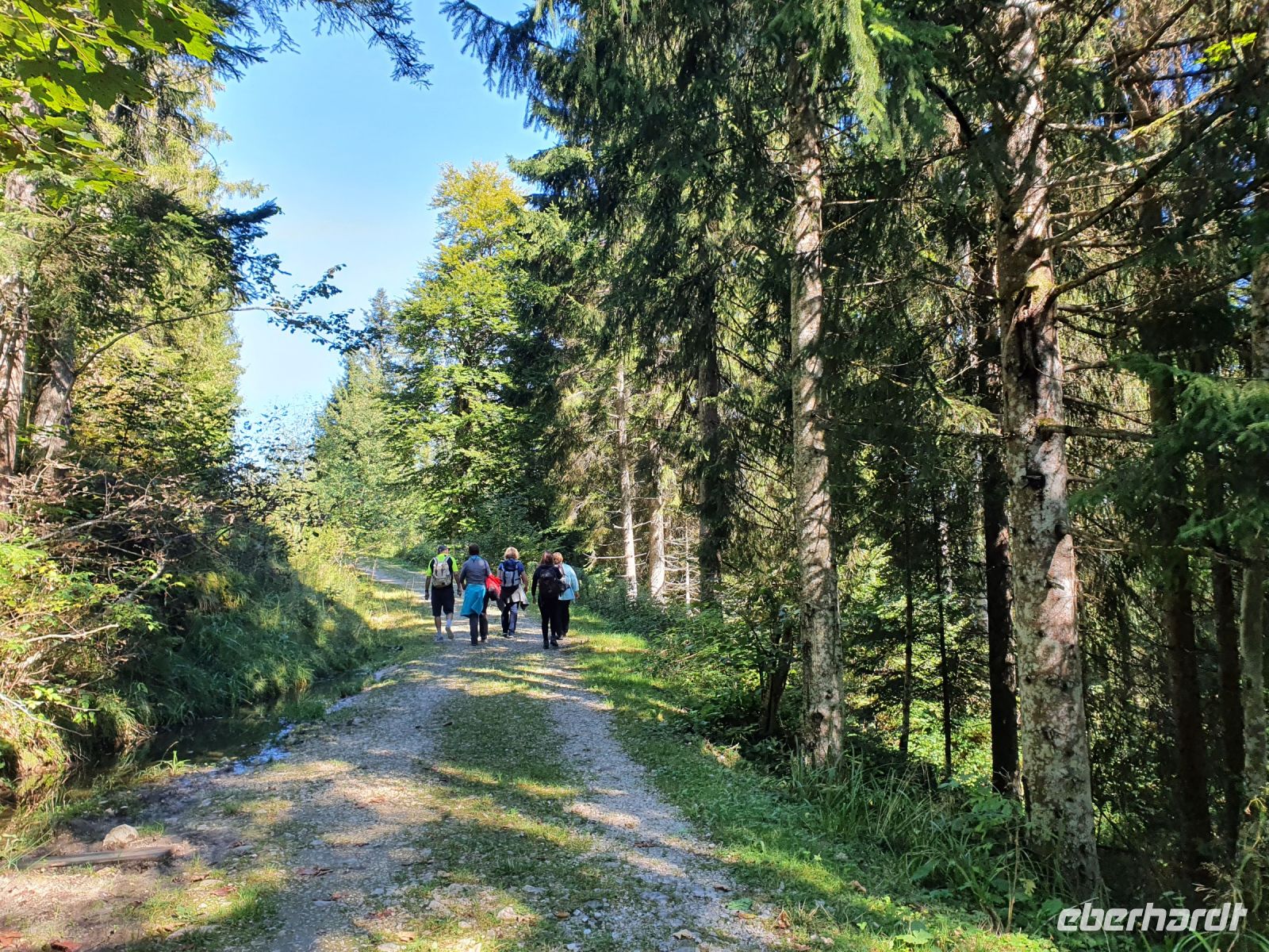 Wanderung zur Aschinger Alm