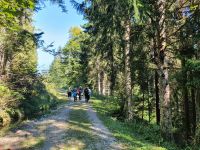 Wanderung zur Aschinger Alm