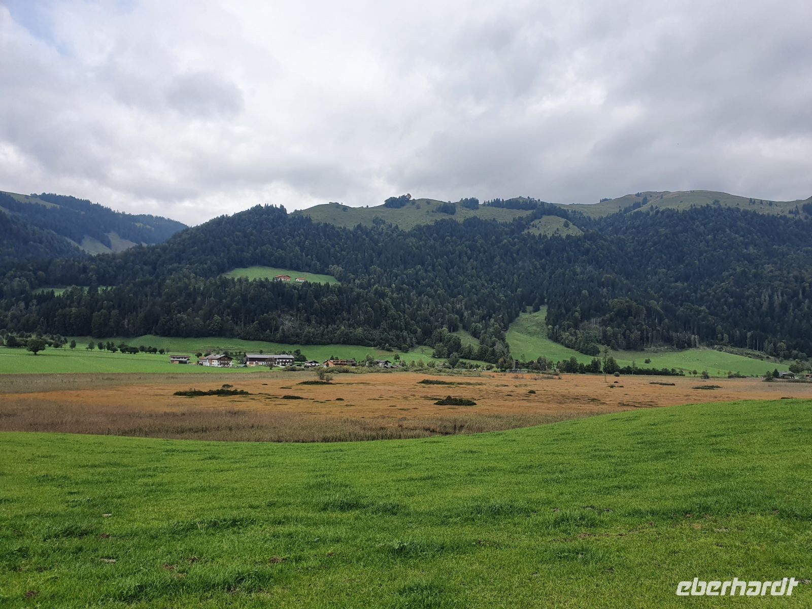 Blick auf die Schwemm in Walchsee