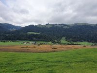 Blick auf die Schwemm in Walchsee