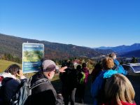 Der Blick vom Heuberghang Richtung Kleinwalsetal