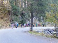 Im Gänsemarsch entlang der Straße (nur ganz kurz)
