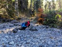 Der Schwarzwasserbach