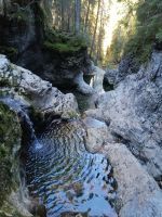 Auswaschungen in den Uferfelsen (Schwarzwasserbach)