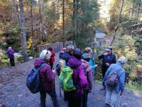 Jetzt geht es Richtung Naturbrücke