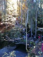 Naturbrücke am Schwarzwasserbach