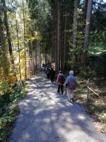 steiler Abstieg ins Breitachtal