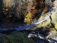 Die Hängebrücke (Breitachbach)