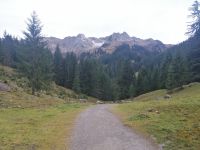 Abstieg von der Bärgunt-Hütte Richtung Breitachbachtal