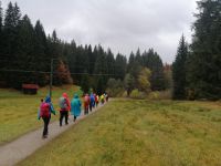 Der Wanderweg zur Braitachklamm