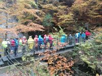 Auf der Brücke oberhalb der Breitachklamm
