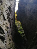 Das Profil des Indianer-Kopfs